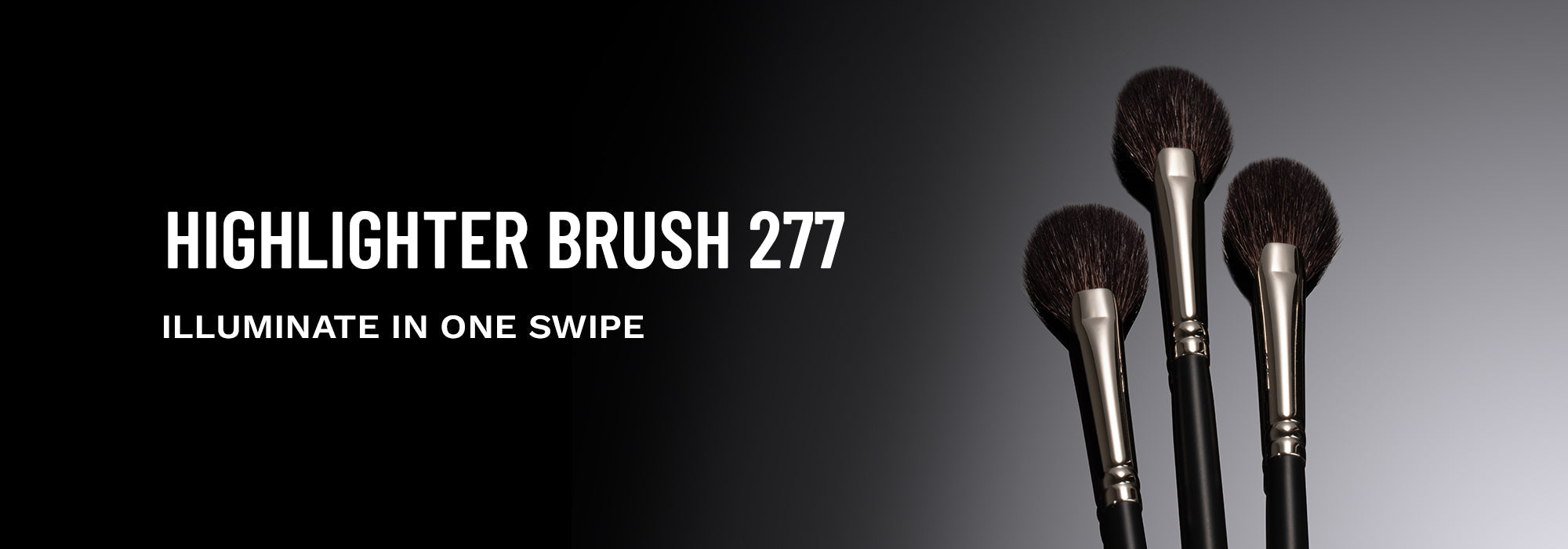 PAC Highlighter Brush