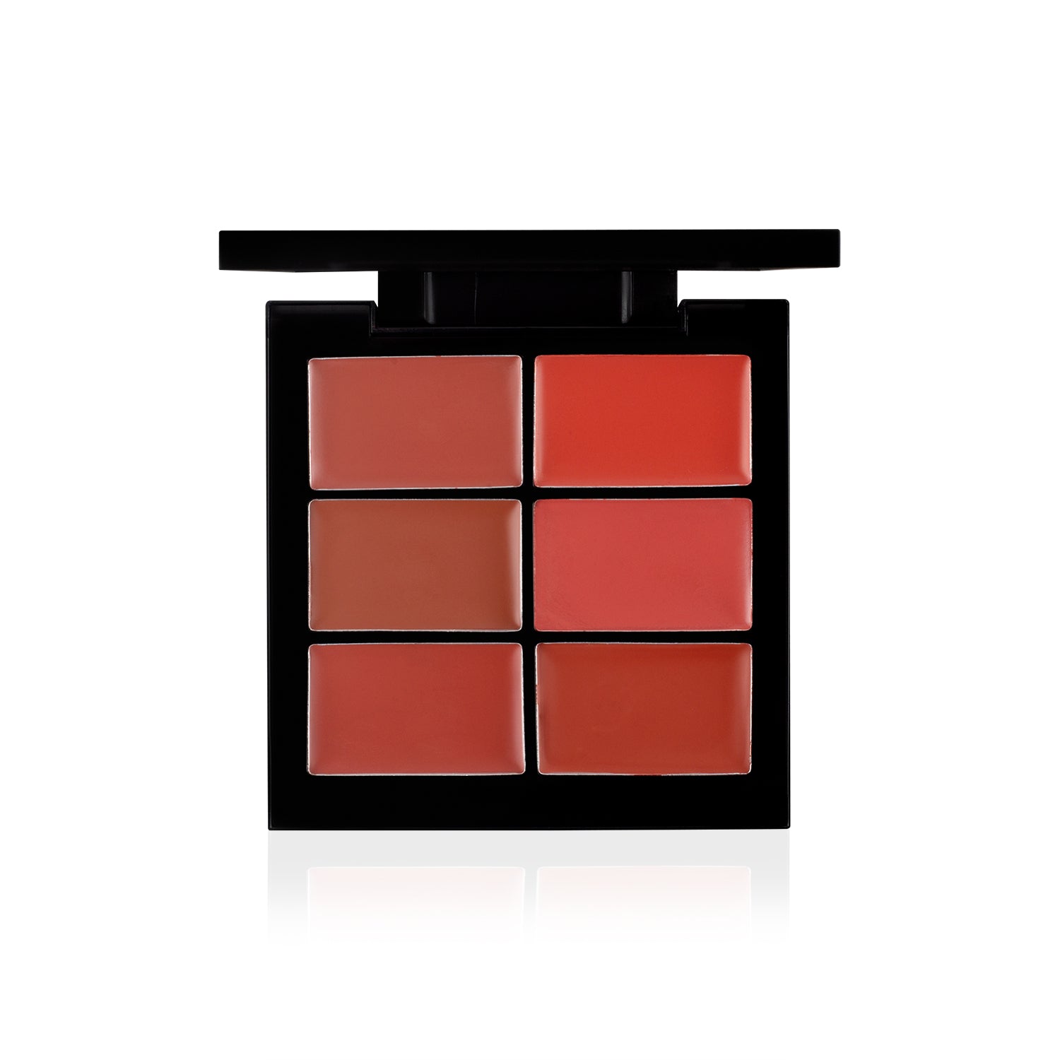 PAC Cosmetics Lip Palette X6 (2 gm) #Color_Nude