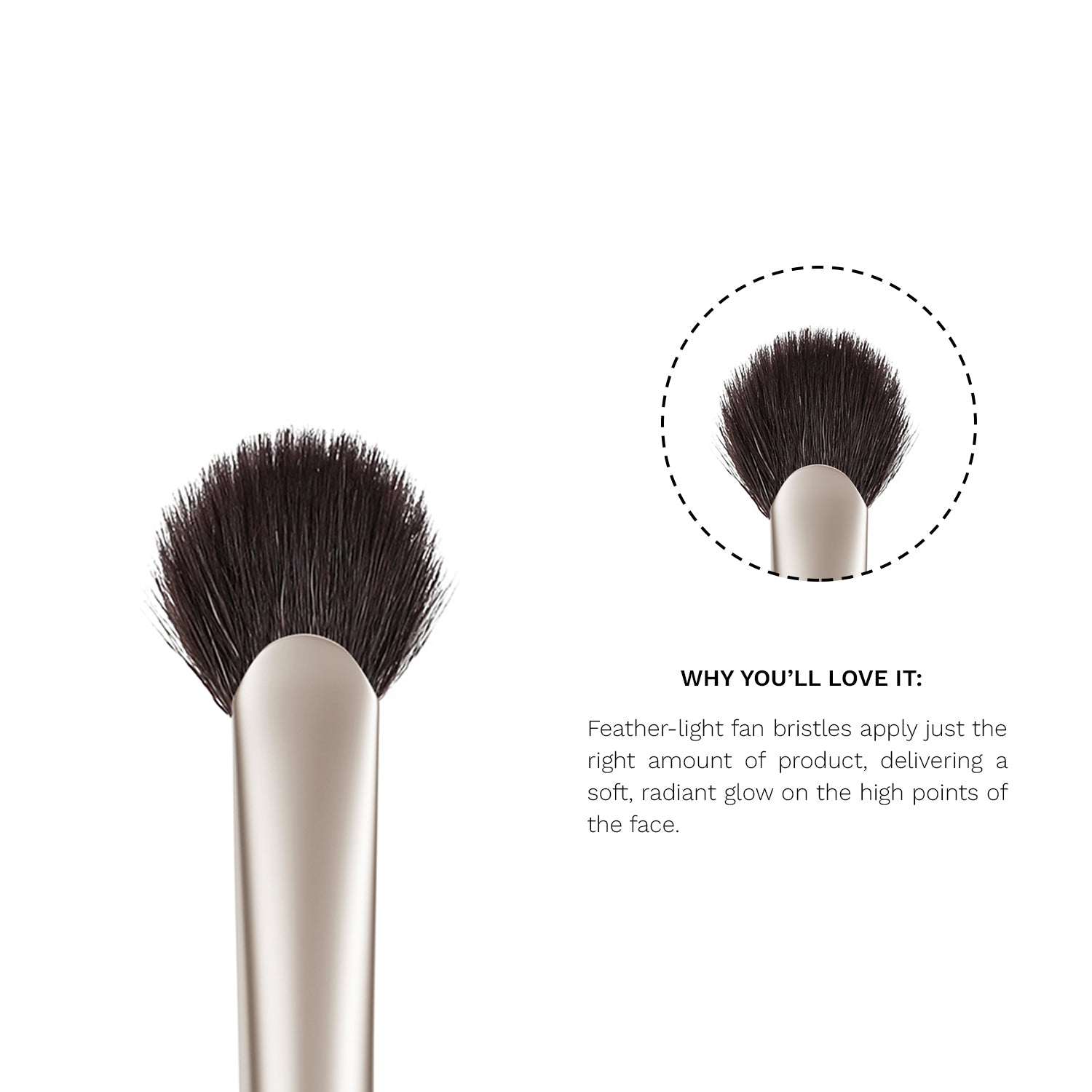 S16 Highlighter Fan Brush