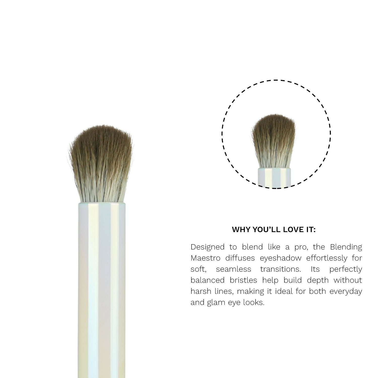 PAC X SARAH Blending Maestro