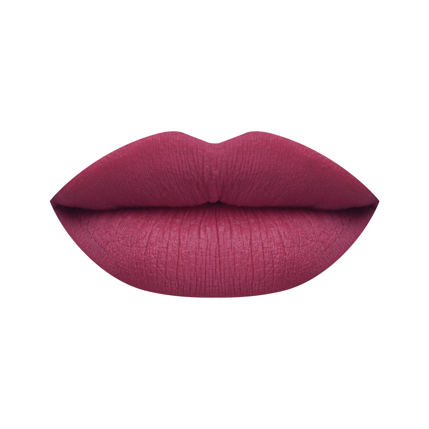 PAC Cosmetics Insanely Matte Lip Crayon (3.8 gm) #Color_Truly Yours