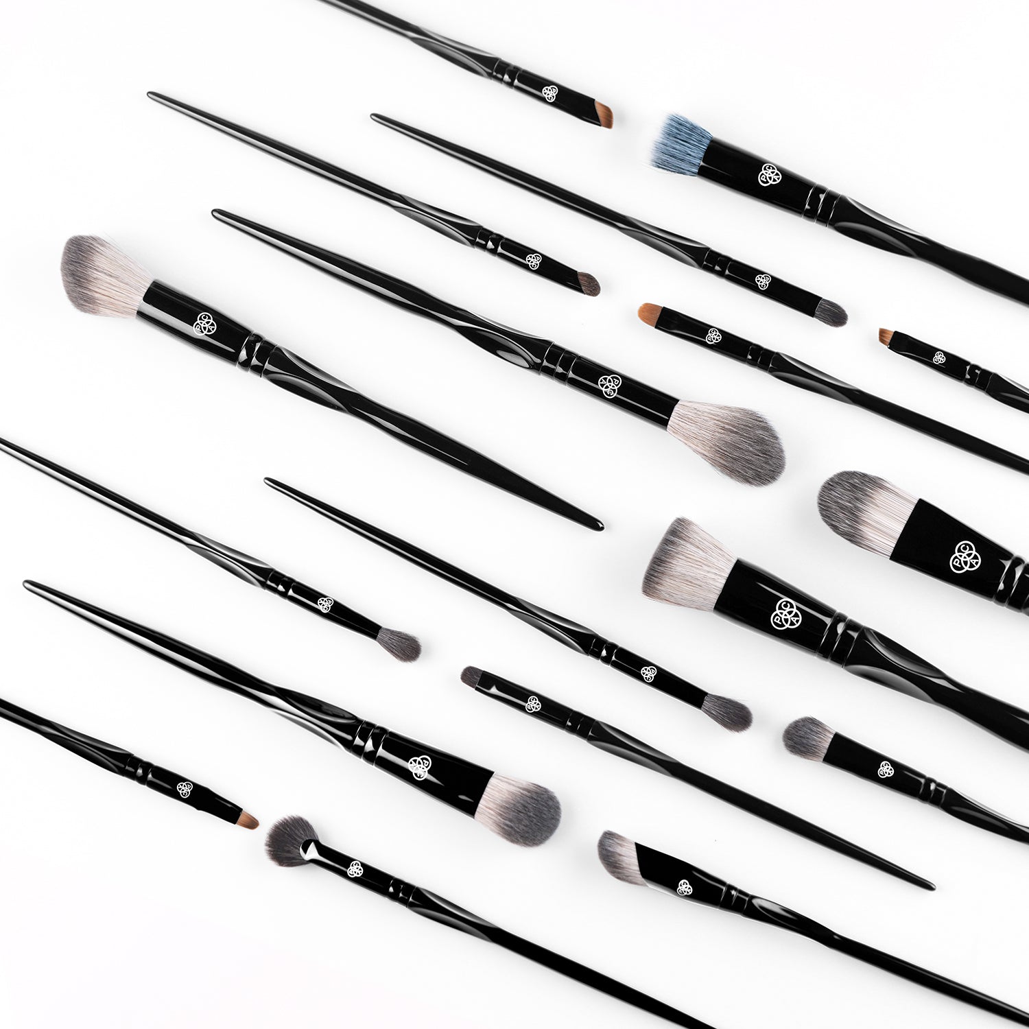 Pro-Xclusive 18 Pcs Brush Series (Black Edition)