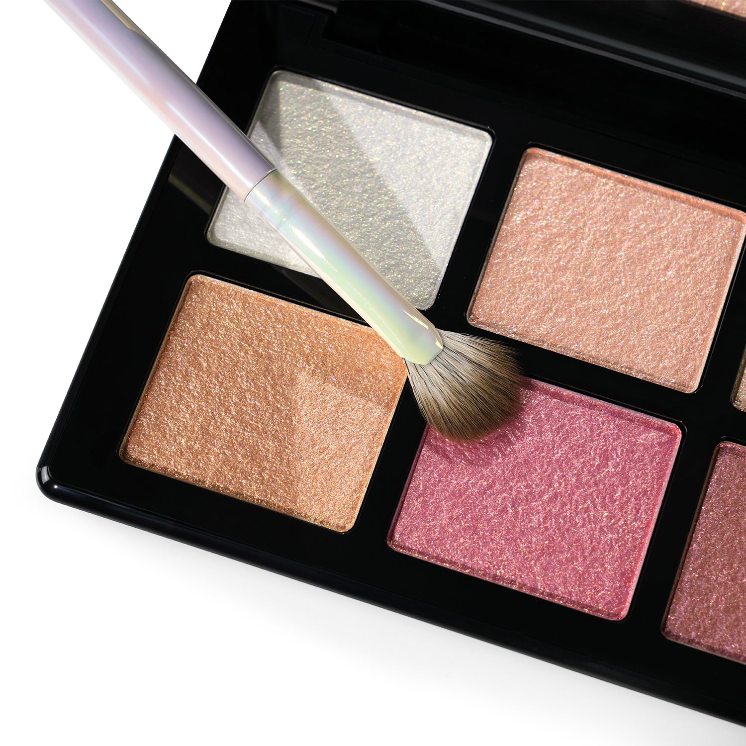 PAC X SARAH Fan-Tastic Highlight Brush